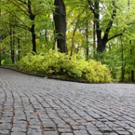 Medication Assisted Treatment Medication Assisted Treatment